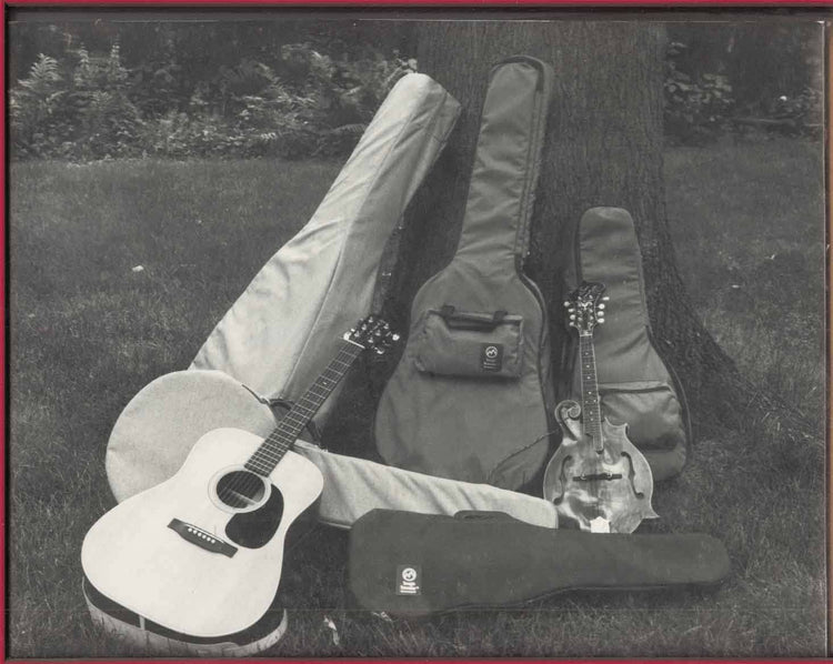 MUSICAL INSTRUMENT BAGS