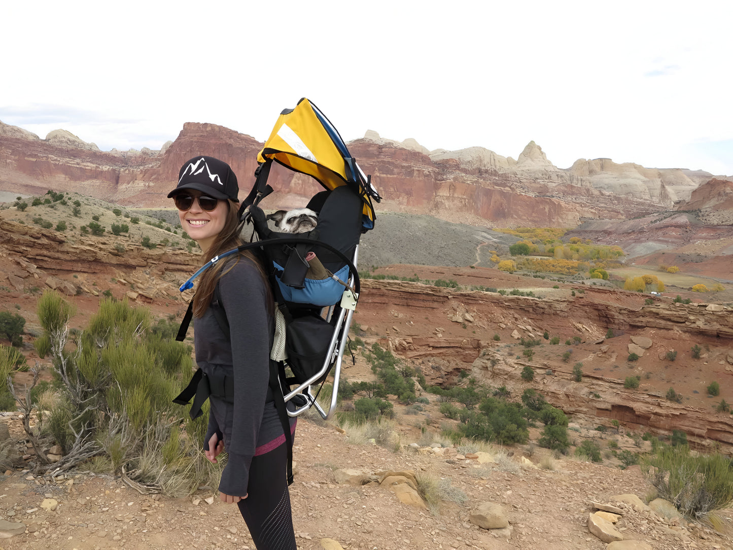 Dog Carrier Technical Hiking Backpack | Made in USA by Tough Traveler since 1970 |  DOG PERCH BACKPACK (ALL SIZES)