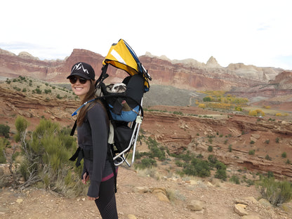 Dog Carrier Technical Hiking Backpack | Made in USA by Tough Traveler since 1970 |  DOG PERCH BACKPACK (ALL SIZES)