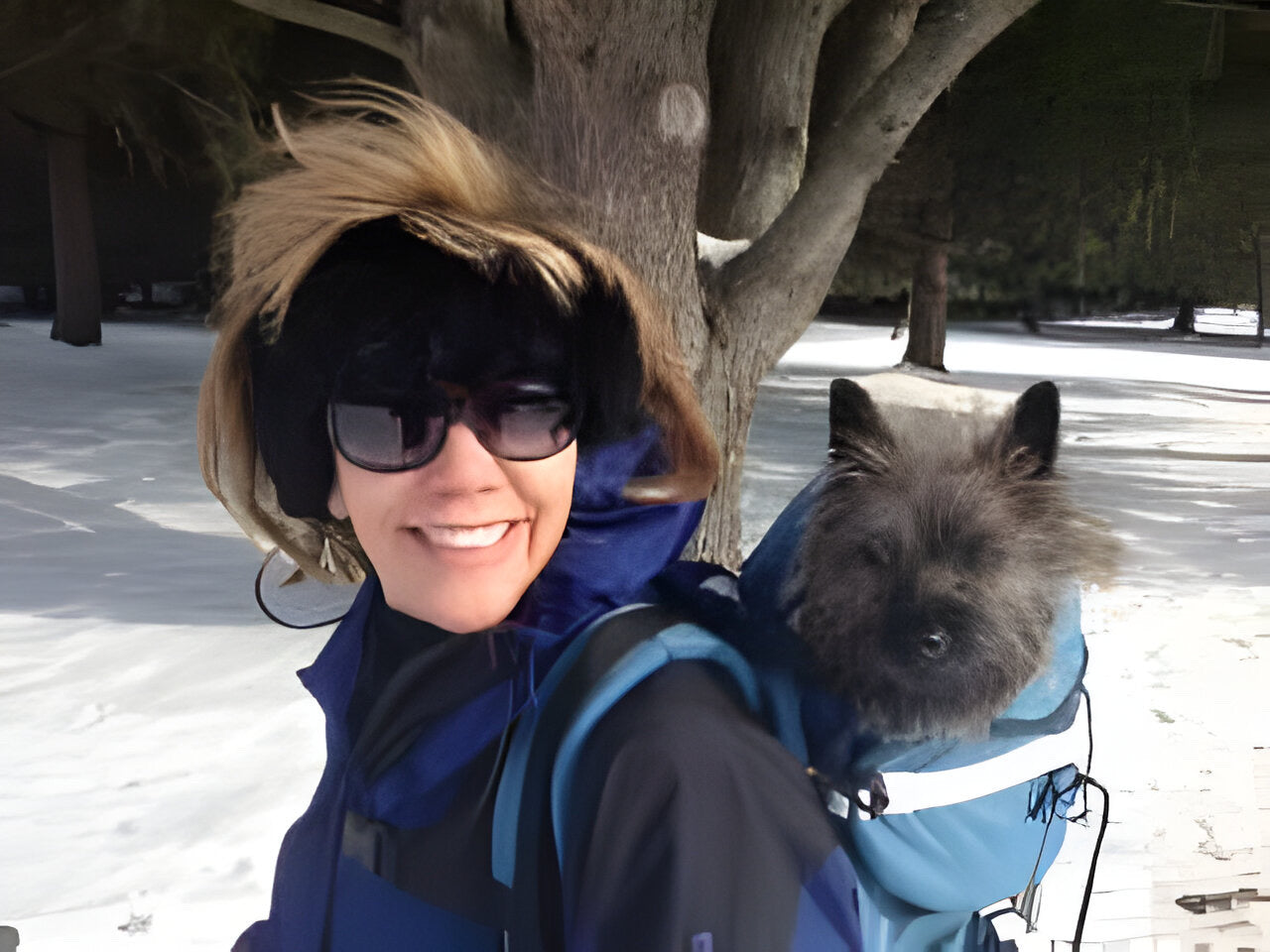 Dog Carrier Technical Hiking Backpack | Made in USA by Tough Traveler since 1970 |  DOG PERCH BACKPACK (ALL SIZES)