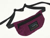  |  SUNNYSIDE COIN BELT