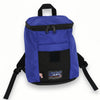 COCO Purse Backpack |  COCO Purse Backpack