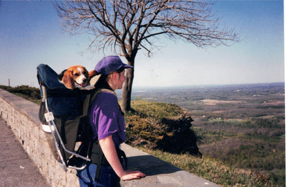 Dog Carrier Technical Hiking Backpack | Made in USA by Tough Traveler since 1970 |  DOG PERCH BACKPACK (ALL SIZES)