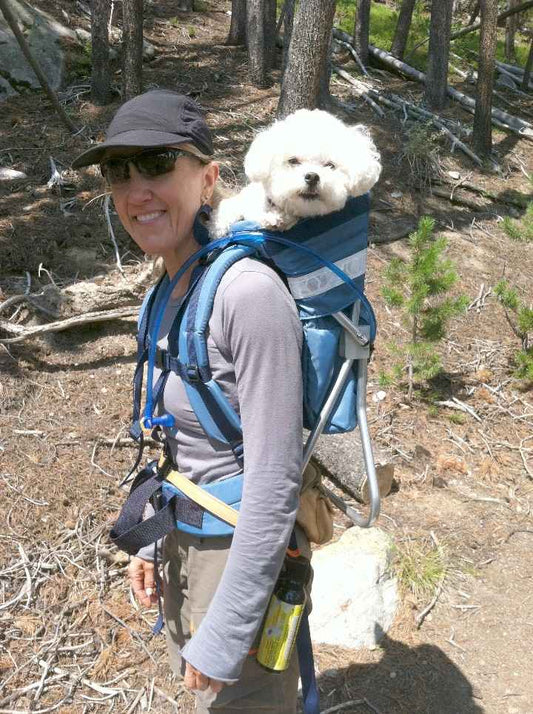 The Top Dog Carrier Backpack for Hiking | Up to 30 lbs | Tough Traveler |  COLT DOG PERCH BACKPACK (Up to 10 lbs)