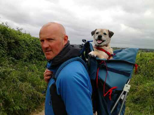 Dog Carrier Technical Hiking Backpack | Made in USA by Tough Traveler since 1970 |  DOG PERCH BACKPACK (ALL SIZES)