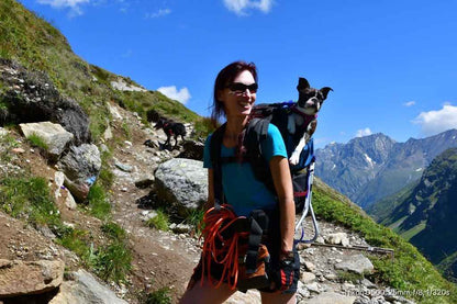Dog Carrier Technical Hiking Backpack | Made in USA by Tough Traveler since 1970 |  DOG PERCH BACKPACK (ALL SIZES)
