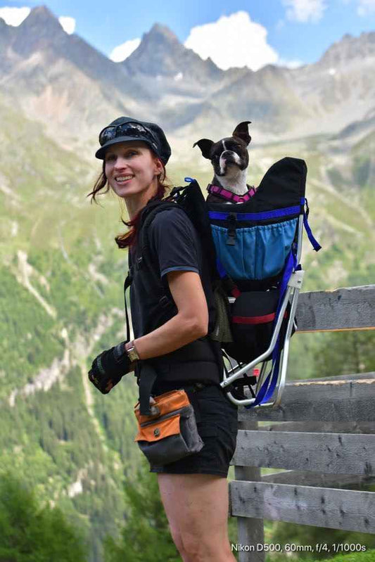 Dog Carrier Technical Hiking Backpack | Made in USA by Tough Traveler since 1970 |  DOG PERCH BACKPACK (ALL SIZES)