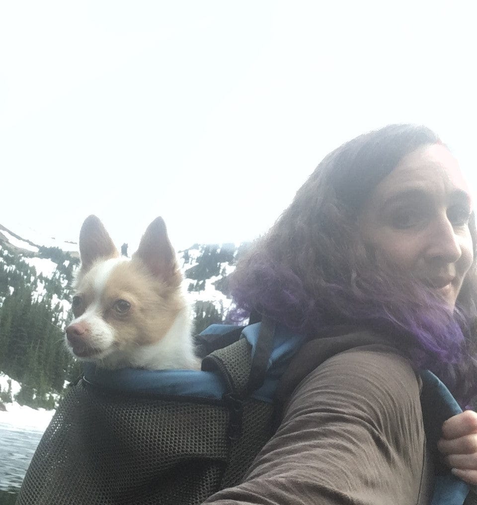 Small Dog Carrier Backpack Made in USA | Handcrafted by Tough Traveler since 1970 |  DOUBLE-DECKER Small Dog Backpack