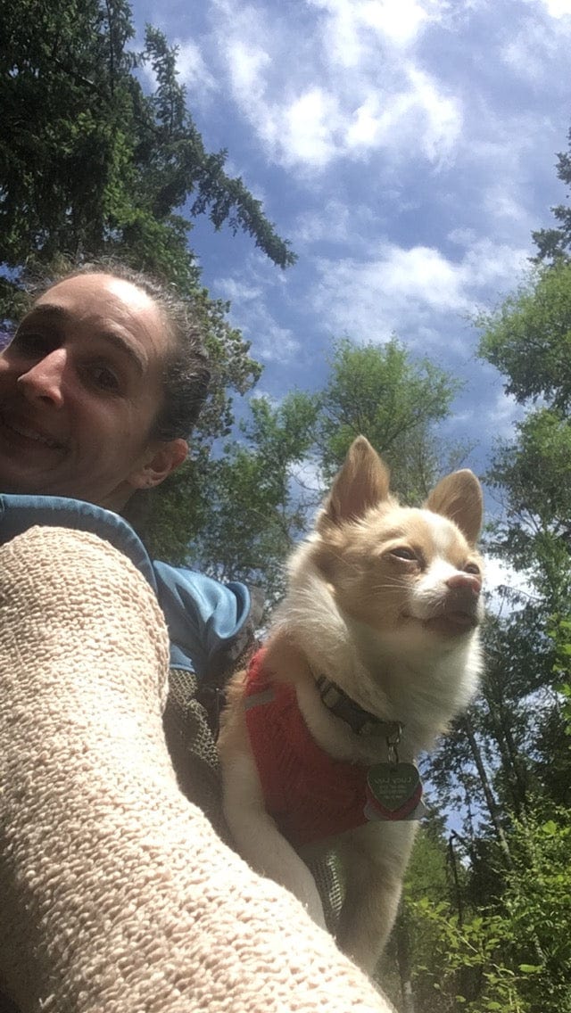 Small Dog Carrier Backpack Made in USA | Handcrafted by Tough Traveler since 1970 |  DOUBLE-DECKER Small Dog Backpack