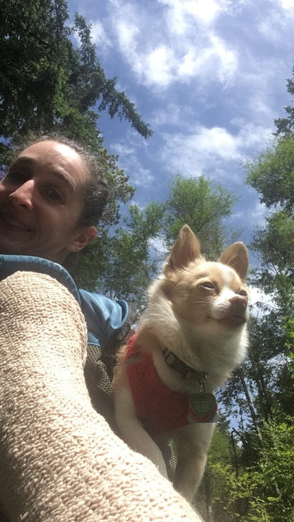 Small Dog Carrier Backpack Made in USA | Handcrafted by Tough Traveler since 1970 |  DOUBLE-DECKER Small Dog Backpack