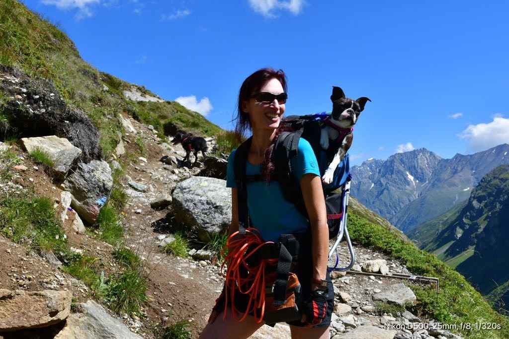Medium Dog Carrier Backpack Made in USA | Handcrafted by Tough Traveler since 1970 |  FILLY / KID CARRIER® DOG PERCH BACKPACK (Up to 25 lbs)