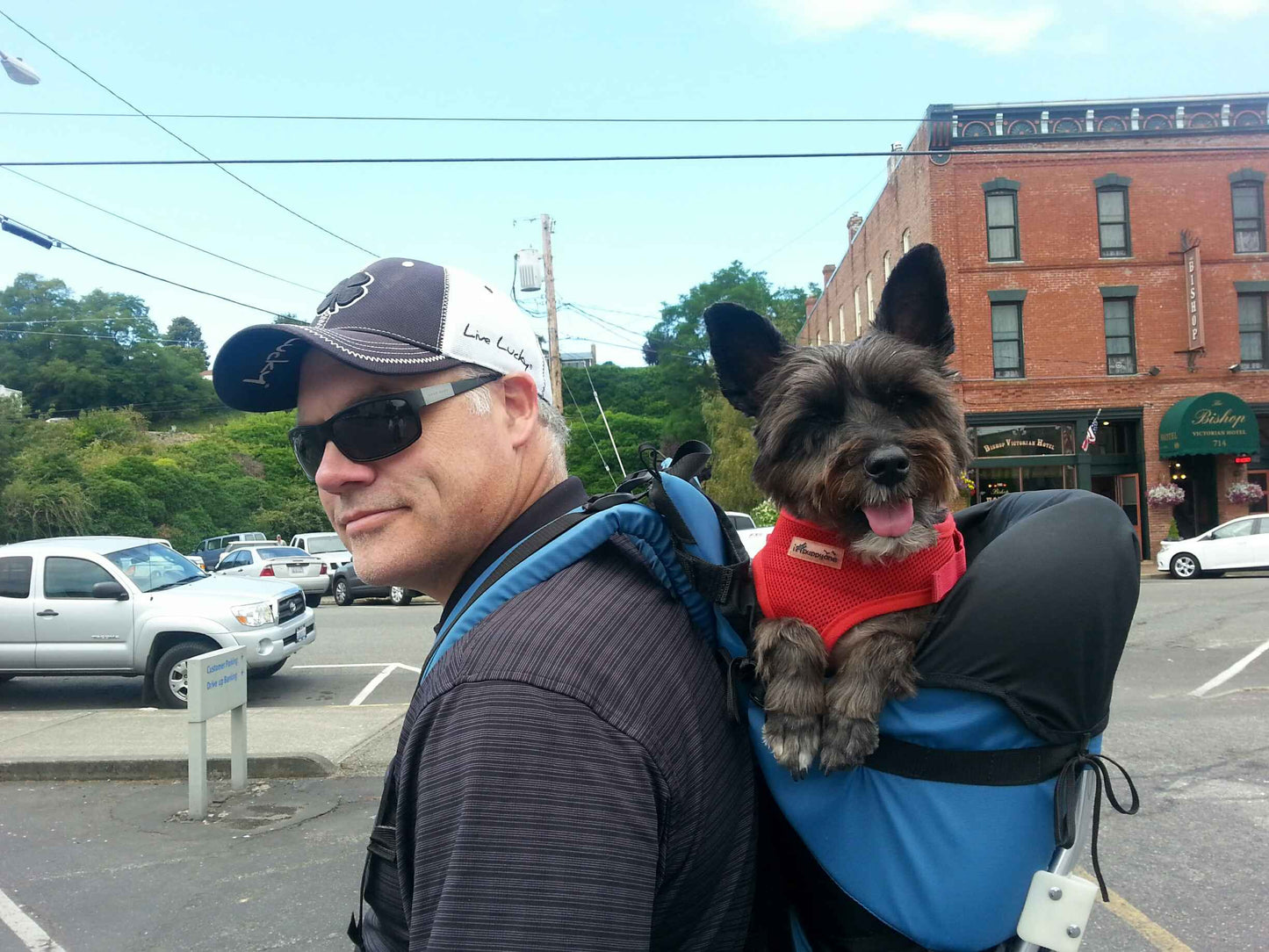 Medium Dog Carrier Backpack Made in USA | Handcrafted by Tough Traveler since 1970 |  FILLY / KID CARRIER® DOG PERCH BACKPACK (Up to 25 lbs)