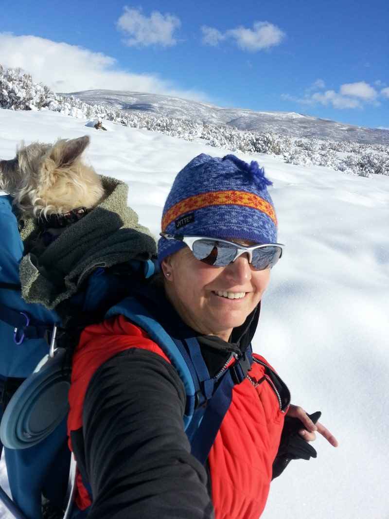 Medium Dog Carrier Backpack Made in USA | Handcrafted by Tough Traveler since 1970 |  FILLY / KID CARRIER® DOG PERCH BACKPACK (Up to 25 lbs)