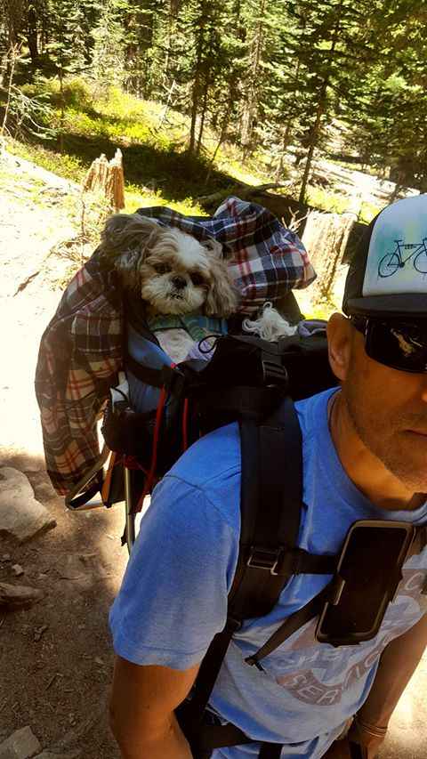 Medium Dog Carrier Backpack Made in USA | Handcrafted by Tough Traveler since 1970 |  FILLY / KID CARRIER® DOG PERCH BACKPACK (Up to 25 lbs)