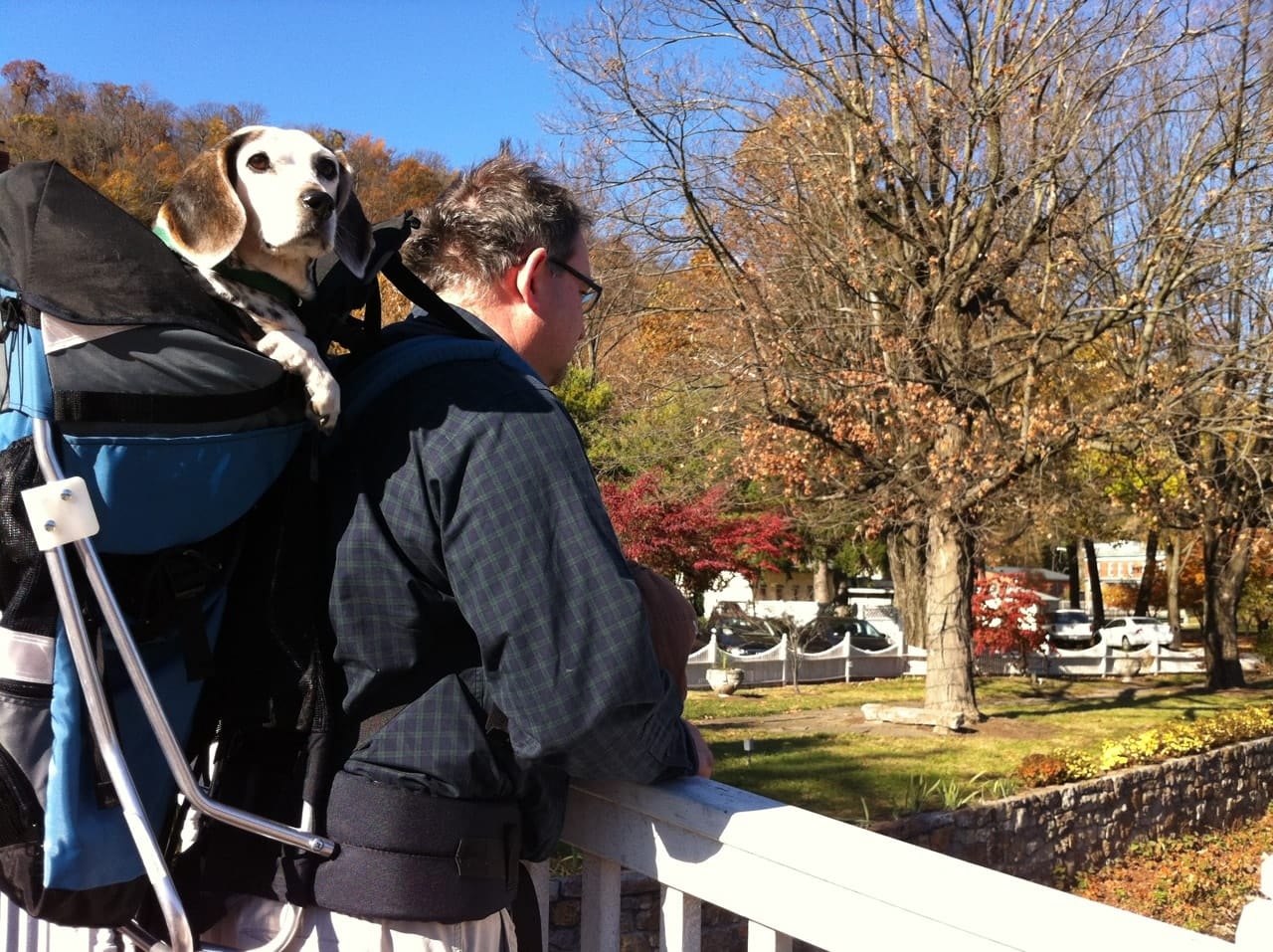 Medium Dog Carrier Backpack Made in USA | Handcrafted by Tough Traveler since 1970 |  FILLY / KID CARRIER® DOG PERCH BACKPACK (Up to 25 lbs)