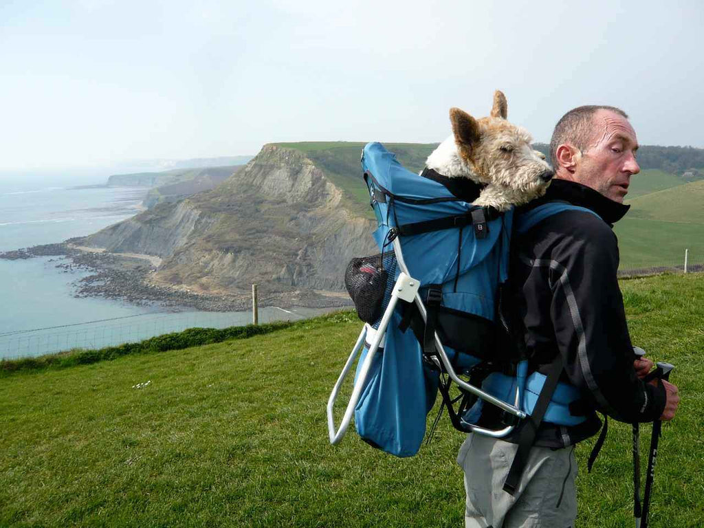 Medium Dog Carrier Backpack Made in USA | Handcrafted by Tough Traveler since 1970 |  FILLY / KID CARRIER® DOG PERCH BACKPACK (Up to 25 lbs)