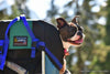 Medium Dog Carrier Backpack Made in USA | Handcrafted by Tough Traveler since 1970 |  FILLY / KID CARRIER® DOG PERCH BACKPACK (Up to 25 lbs)