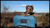 Medium Dog Carrier Backpack Made in USA | Handcrafted by Tough Traveler since 1970 |  FILLY / KID CARRIER® DOG PERCH BACKPACK (Up to 25 lbs)