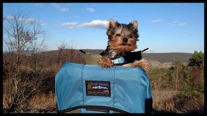 Medium Dog Carrier Backpack Made in USA | Handcrafted by Tough Traveler since 1970 |  FILLY / KID CARRIER® DOG PERCH BACKPACK (Up to 25 lbs)