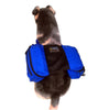 DOG SADDLEBAGS II  |  DOG SADDLEBAGS II
